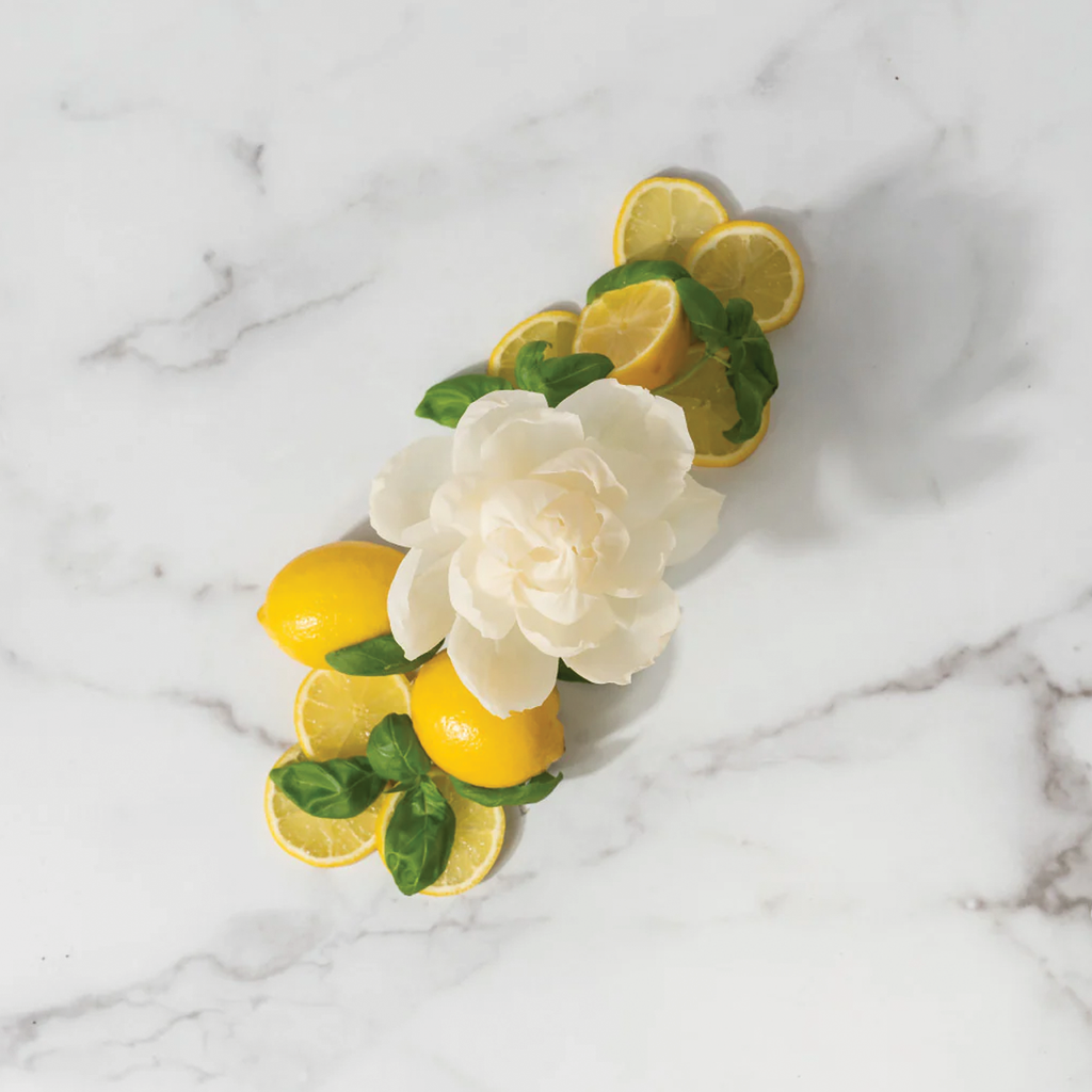 Citron Sol Herbal Citrus Flower Diffuser Branches Designs