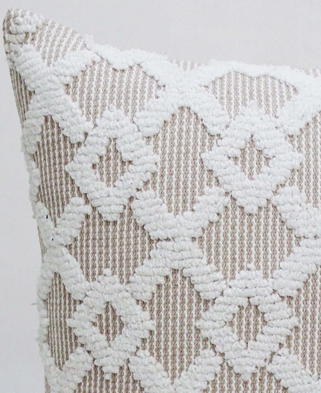 Decorative Beige Accent Throw Pillow  20"x20" Vibhsa