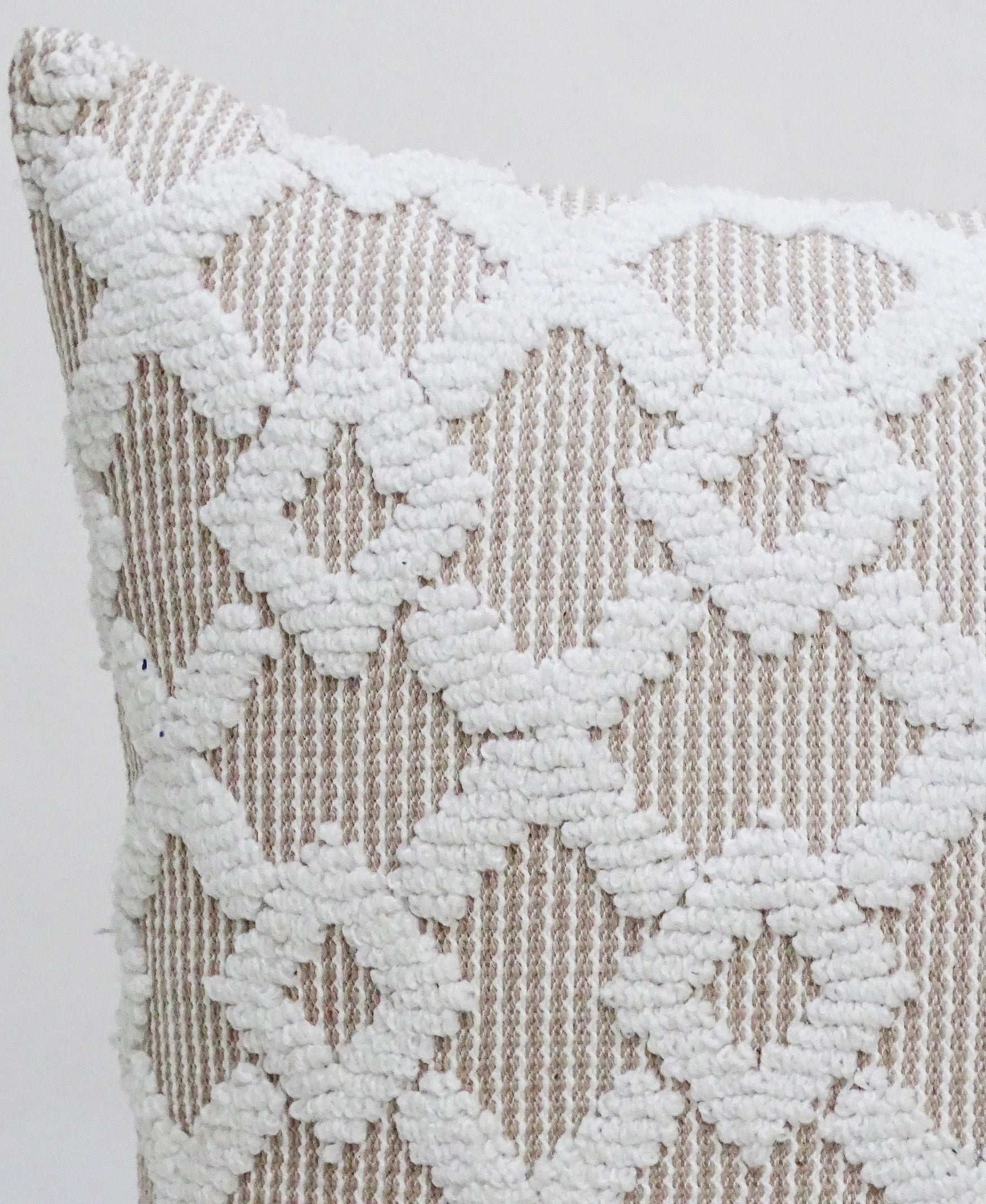 Decorative Beige Accent Throw Pillow  20"x20" Vibhsa