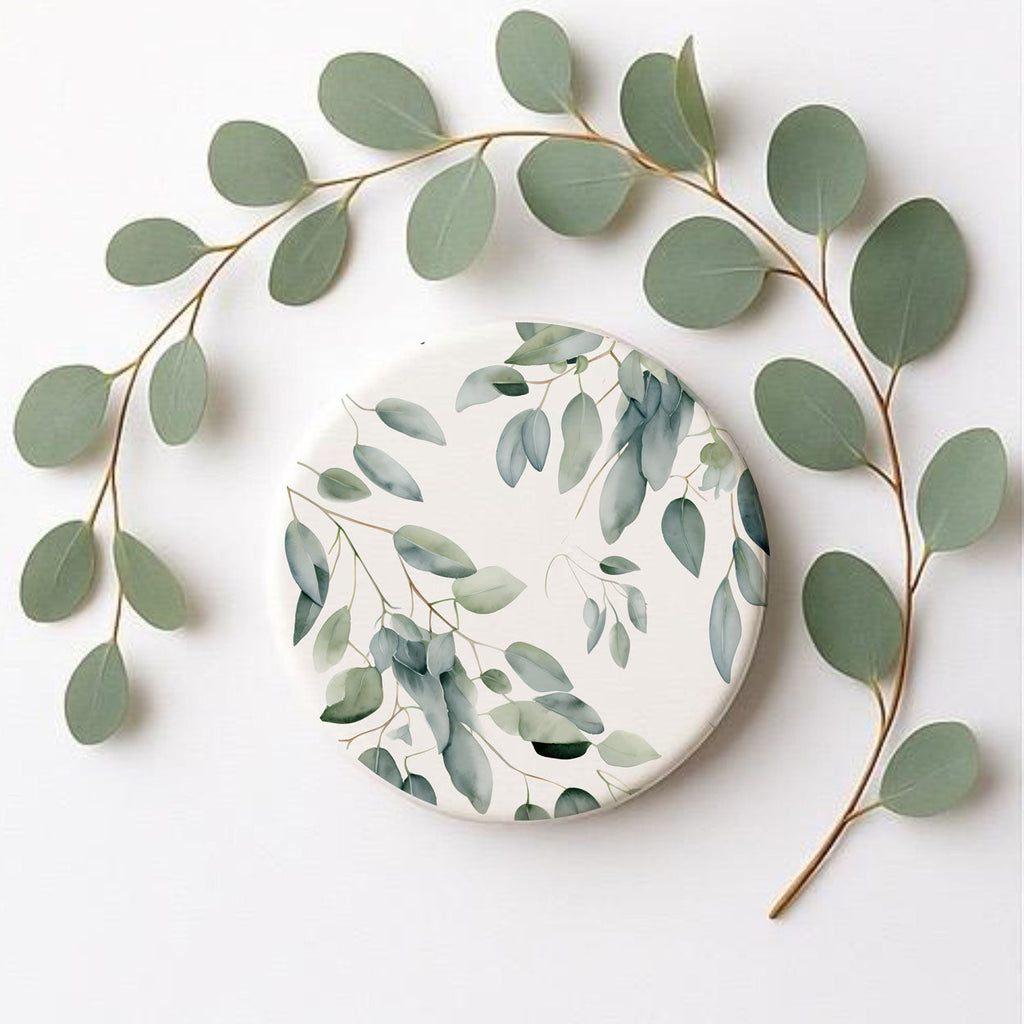 Eucalyptus Gia Roma