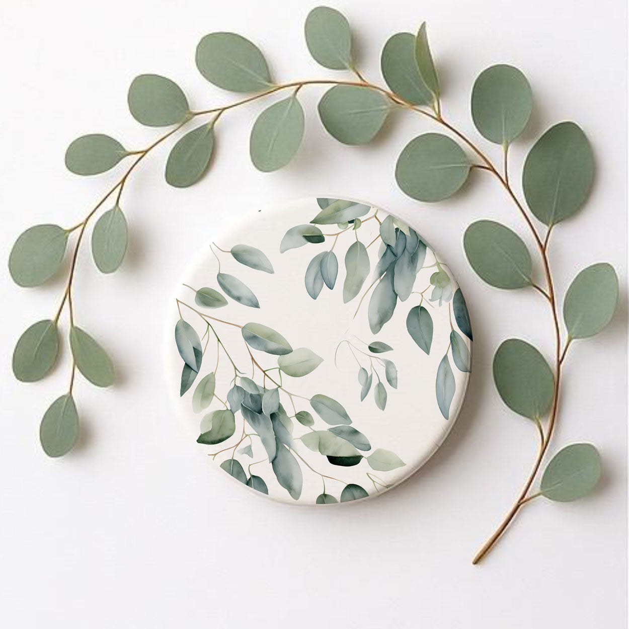 Eucalyptus Gia Roma