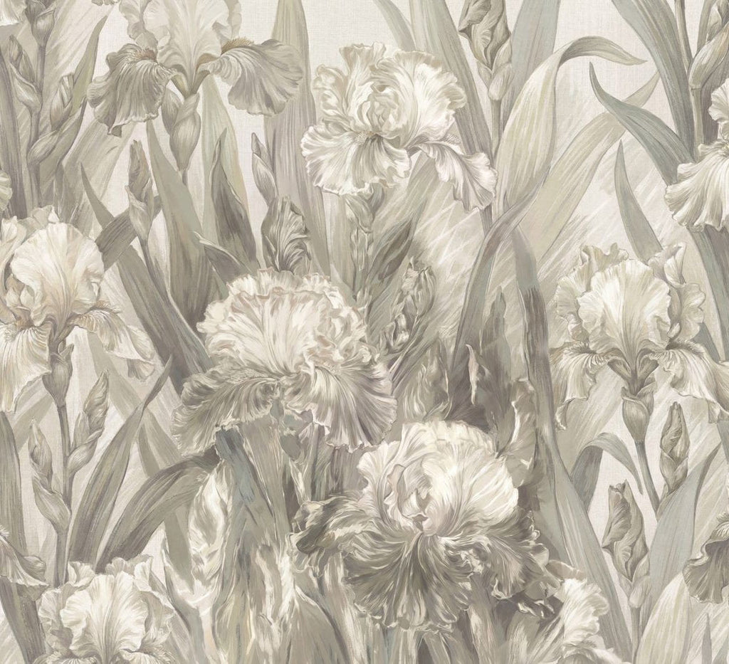 Gladed Promenade Wallpaper WALL BLUSH