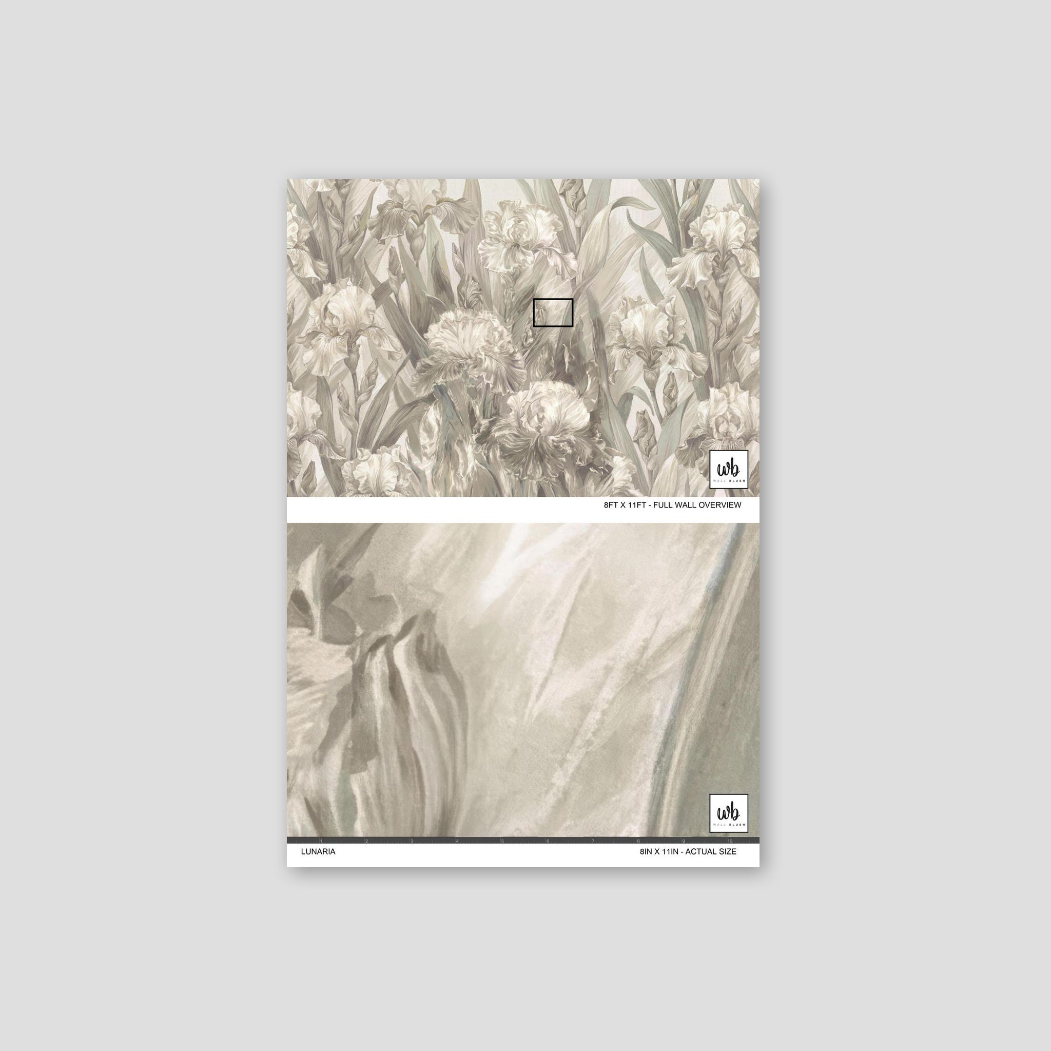 Gladed Promenade Wallpaper WALL BLUSH