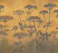 Ember Moors Wallpaper WALL BLUSH