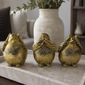 3 Wise Birds Gia Roma
