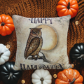 Decorative Throw Pillow 20" x 20" for Halloween Vibhsa