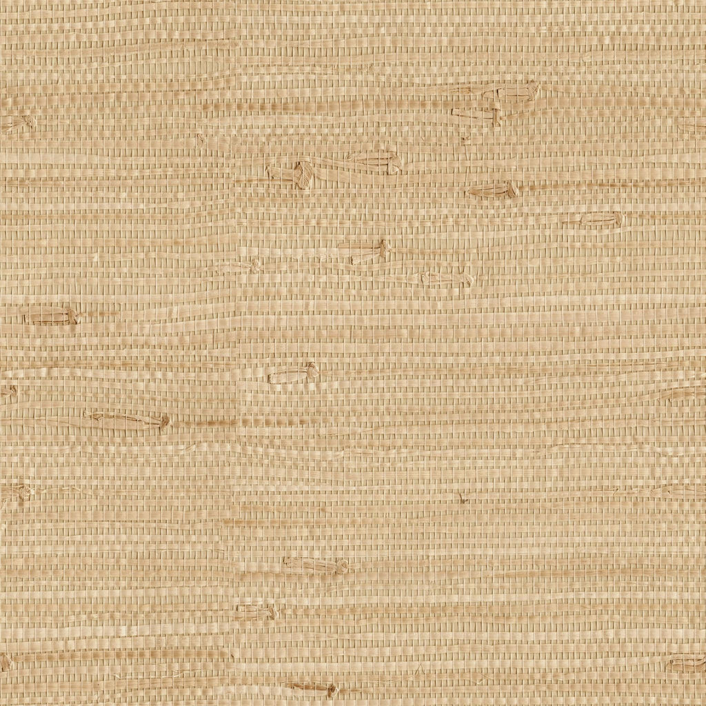 Ida Wallpaper - 10 FT H X 11 FT W LUXE WALL BLUSH