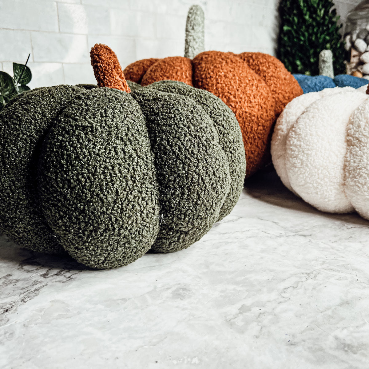 Blair Pumpkin II Gia Roma