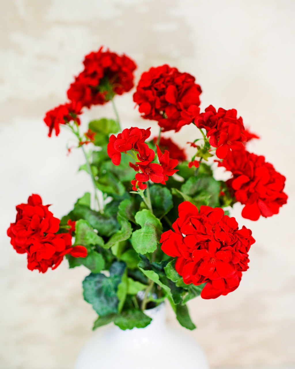 Red Geranium Bush Stem with Nine Blooms Branches Designs