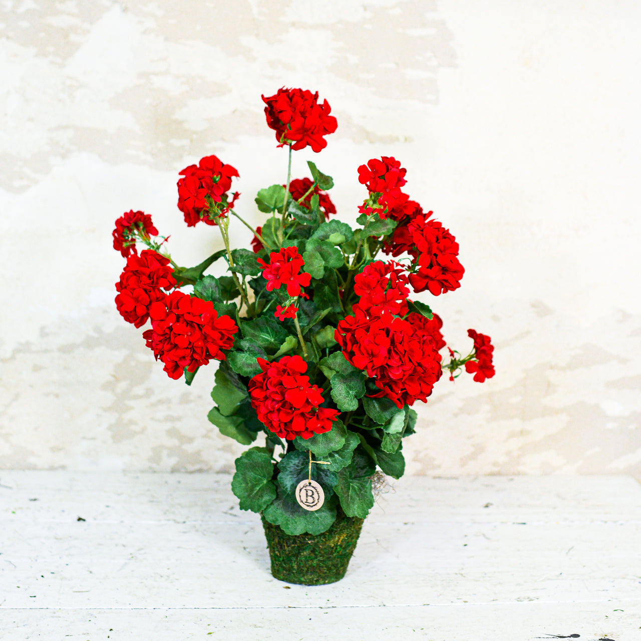 Red Geranium Double Moss Pot Drop In Branches Designs