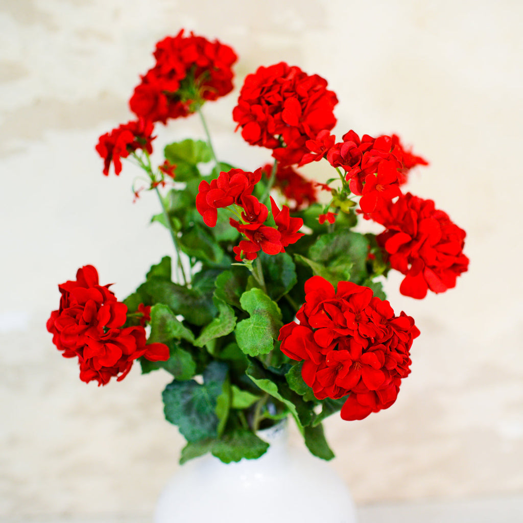 Red Geranium Bush Stem with Nine Blooms Branches Designs