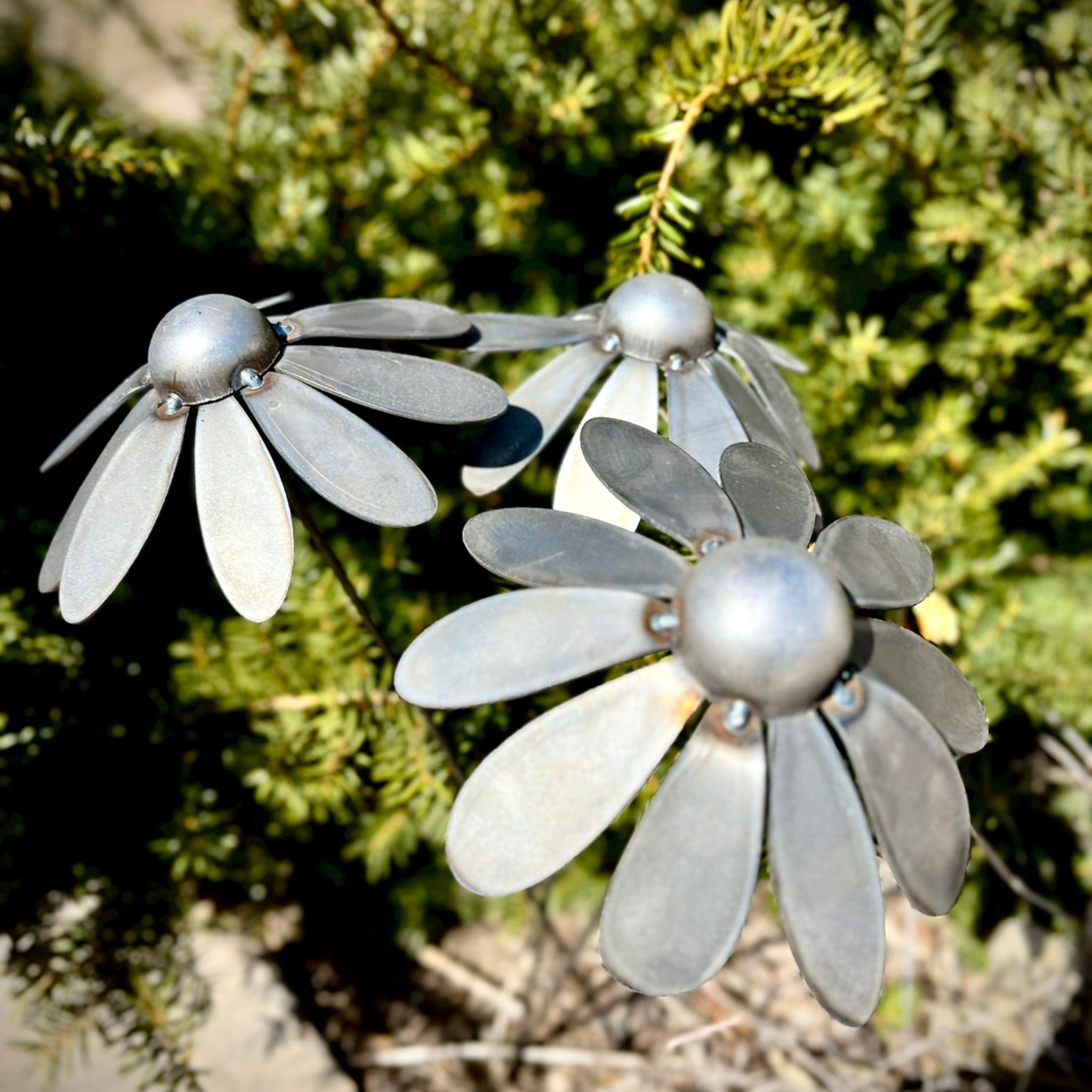 Metal Coneflowers | Yard Art Northern Forge, LLC