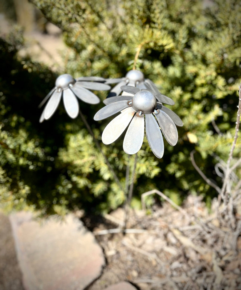 Metal Coneflowers | Yard Art Northern Forge, LLC