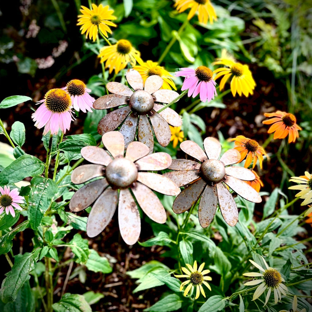 Metal Coneflowers | Yard Art Northern Forge, LLC