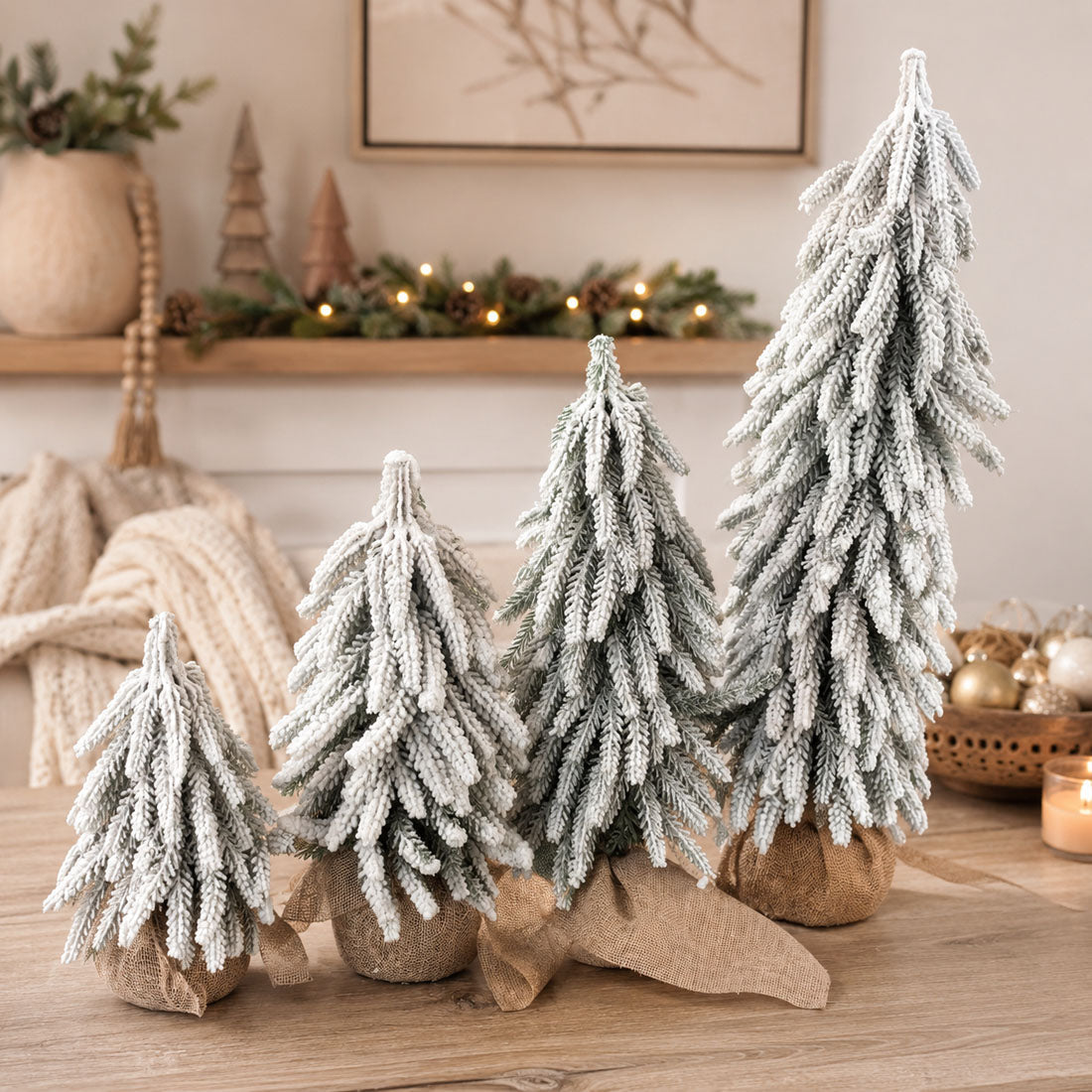 Snow Trees Gia Roma