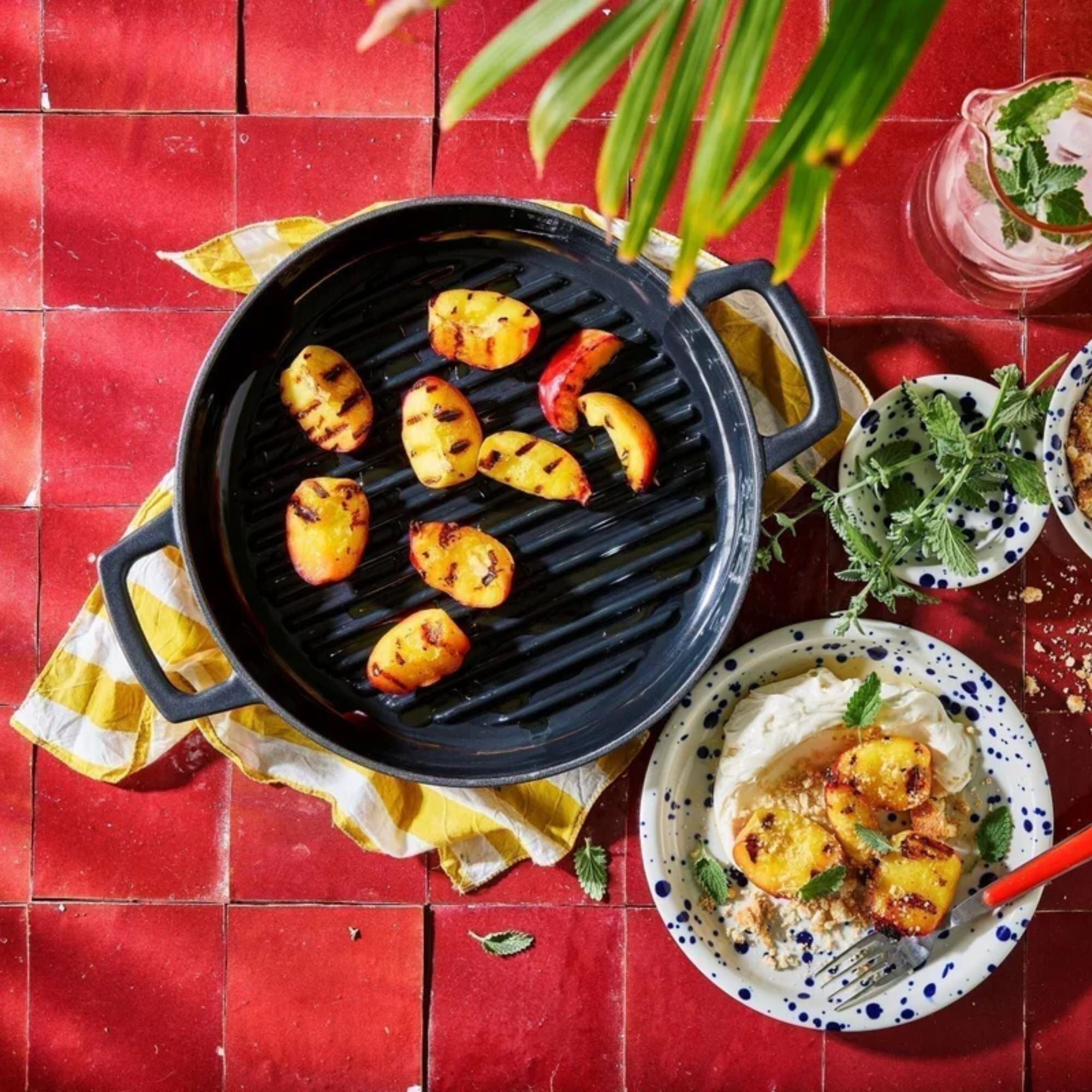 Enameled Cast Iron Grill Pan, 11" Alva Cookware