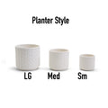 Webbing Planters Gia Roma