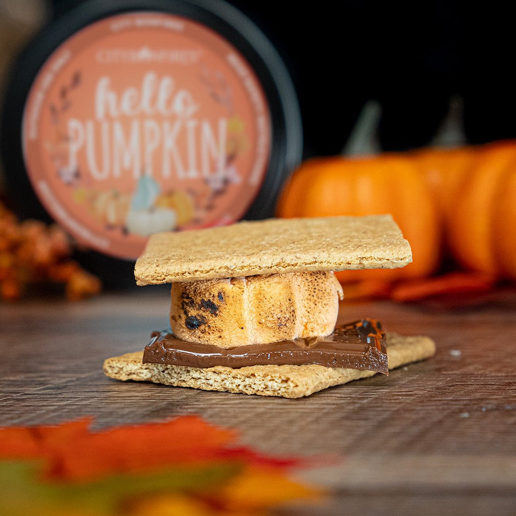 Pumpkin Spice S'mores Night Pack City Bonfires