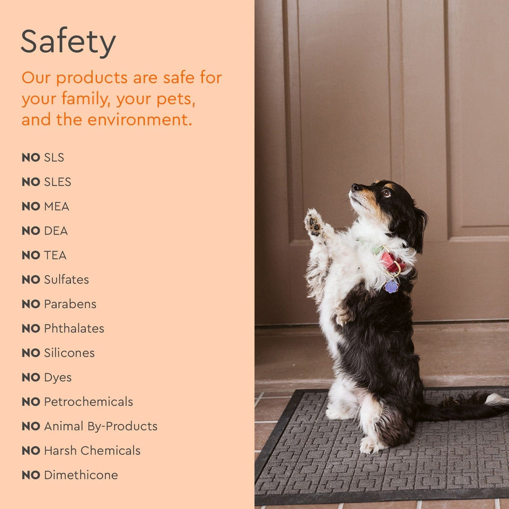 Pet Stain & Odor Remover Puracy