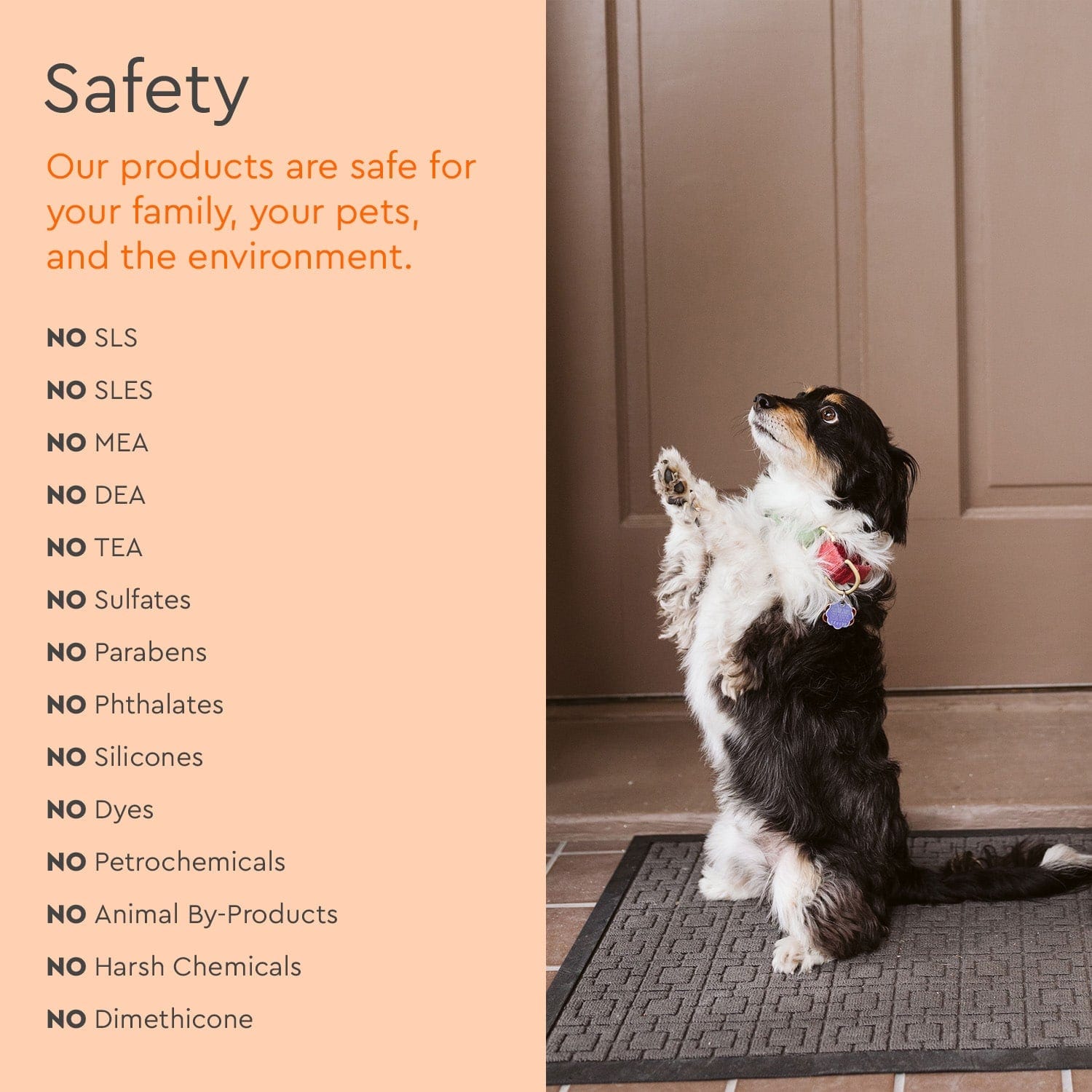 Pet Stain & Odor Remover Puracy