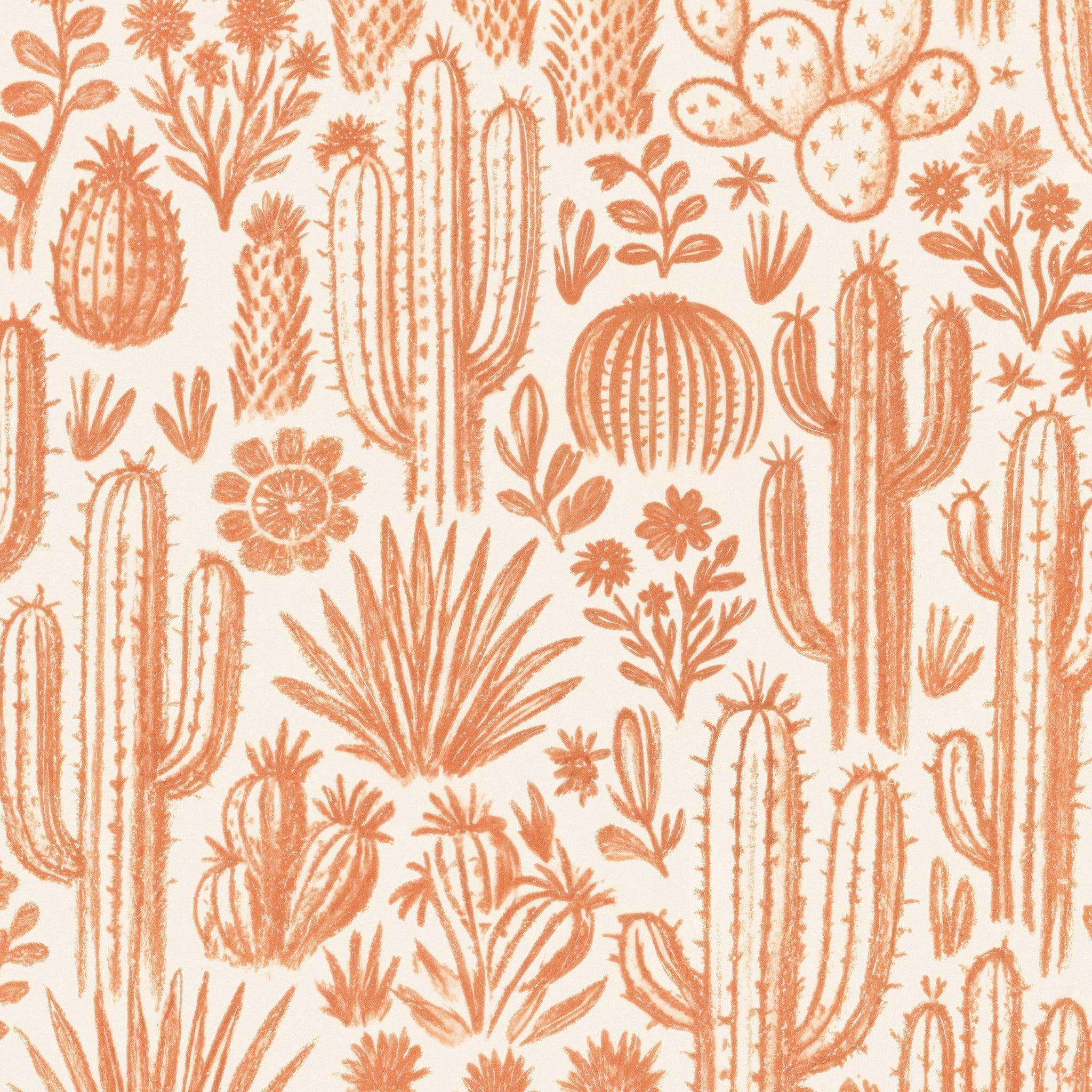 Ocotillo Wallpaper WALL BLUSH